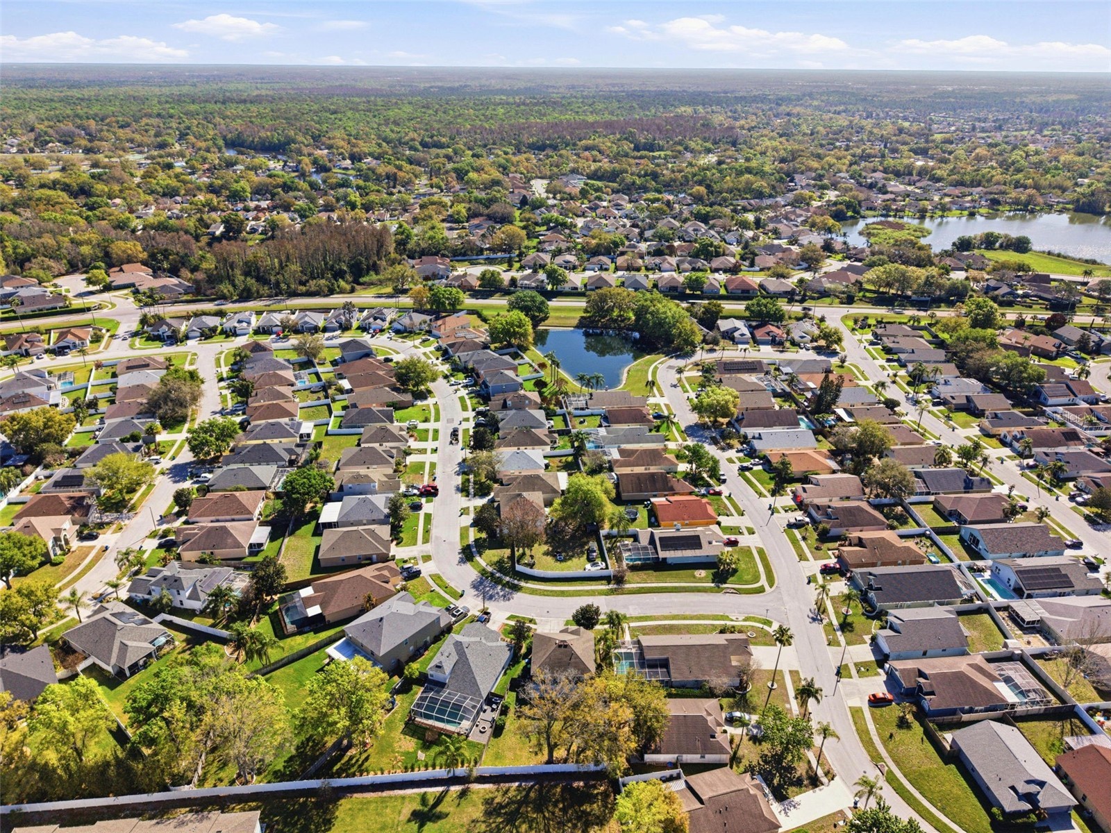 4129 Tarkington Drive Land O Lakes FL 34639 O6387858 image52