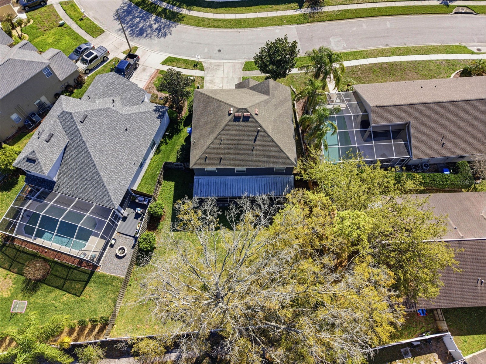 4129 Tarkington Drive Land O Lakes FL 34639 O6387858 image53