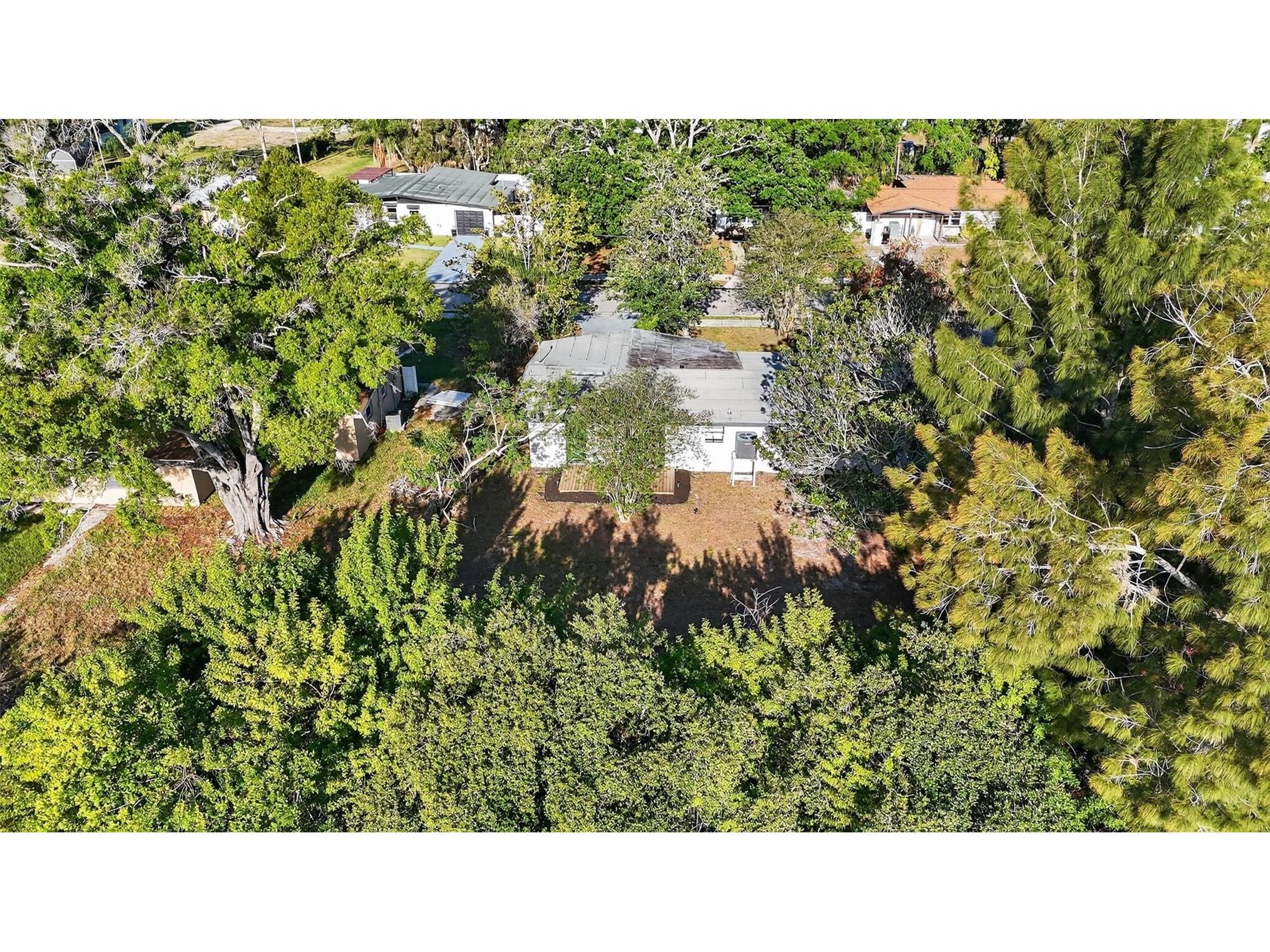 413 Country Club Drive Oldsmar FL 34677 O6396122 image42