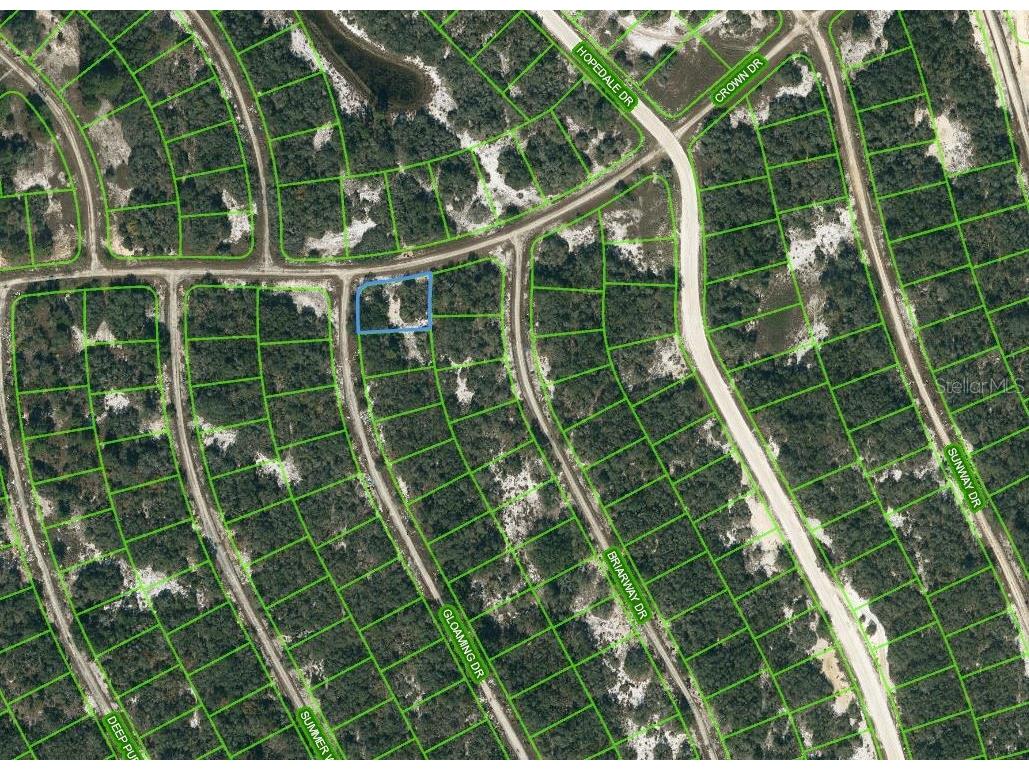 413 Crown Drive Lake Placid FL 33852 OM623562 image1