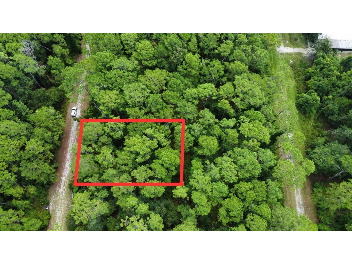 413 Dogwood Avenue Georgetown FL 32139 O6340768 image1