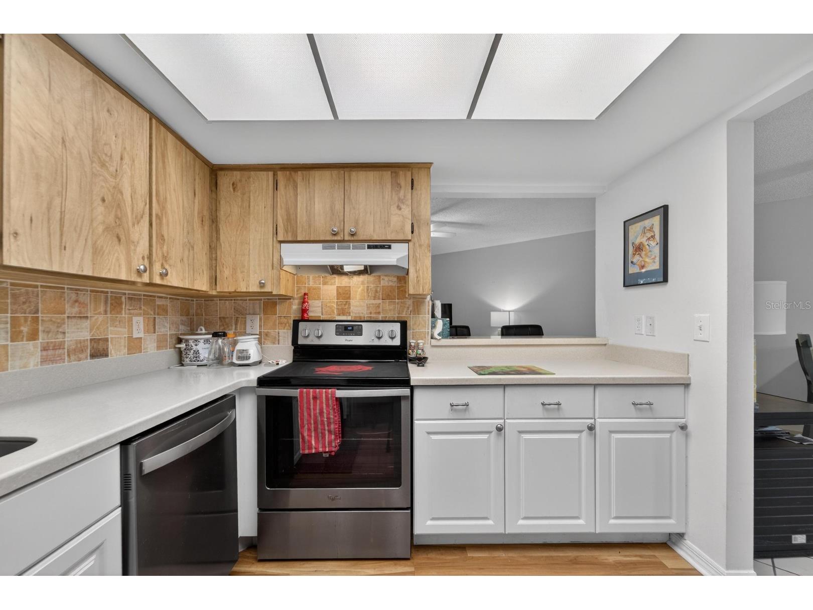 413 Lake Point Court #4-B Sun City Center FL 33573 TB8466147 image6