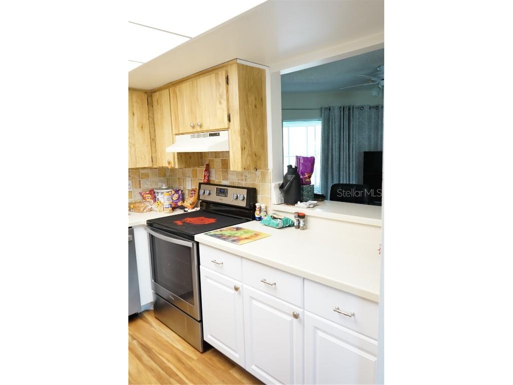 413 Lake Point Court #4B Sun City Center FL 33573 TB8392402 image11