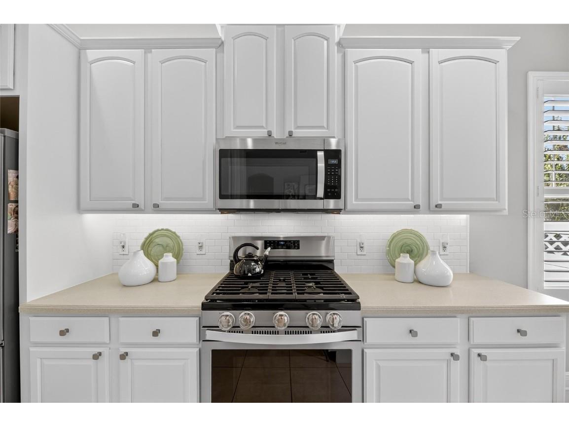 413 Manns Harbor Drive Apollo Beach FL 33572 TB8448637 image41