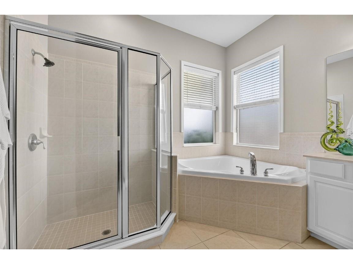 413 Manns Harbor Drive Apollo Beach FL 33572 TB8448637 image49