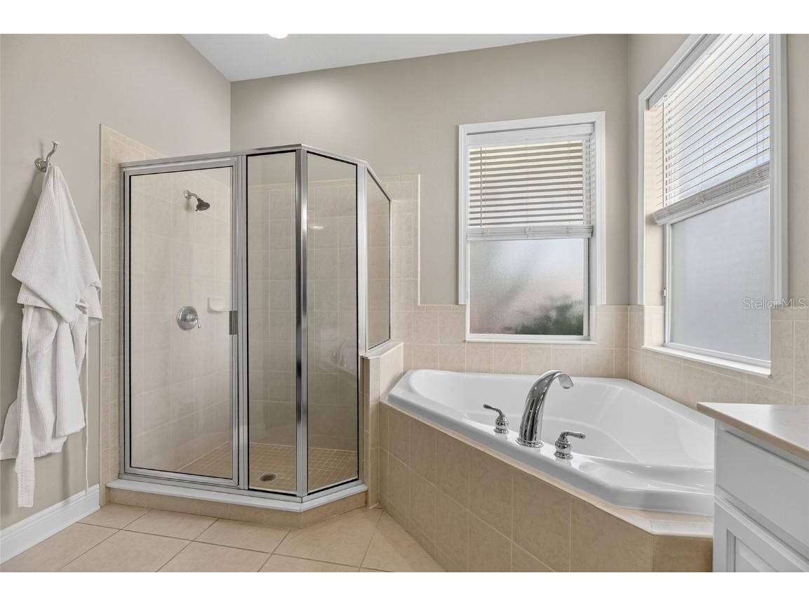 413 Manns Harbor Drive Apollo Beach FL 33572 TB8448637 image52