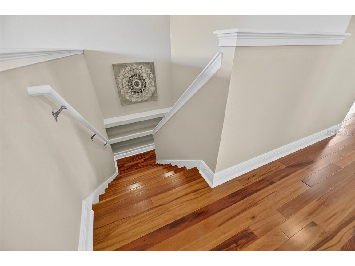 413 Manns Harbor Drive Apollo Beach FL 33572 TB8448637 image53