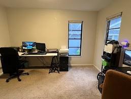 413 Manor Boulevard Palm Harbor FL 34683 TB8409098 image15