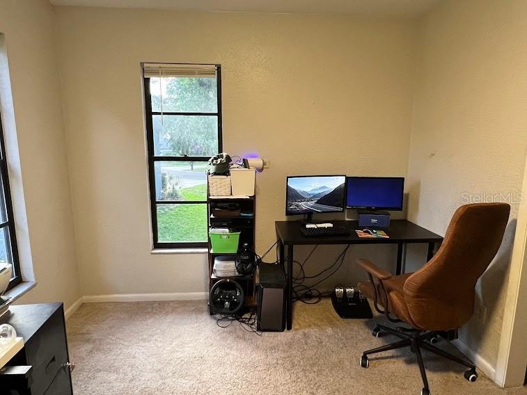 413 Manor Boulevard Palm Harbor FL 34683 TB8409098 image16