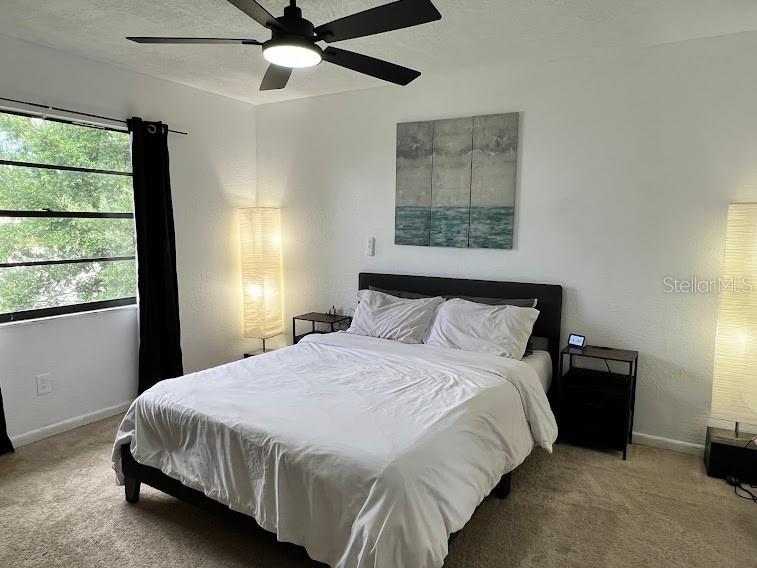 413 Manor Boulevard Palm Harbor FL 34683 TB8409098 image19