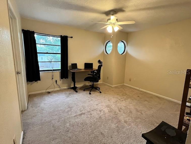 413 Manor Boulevard Palm Harbor FL 34683 TB8409098 image21