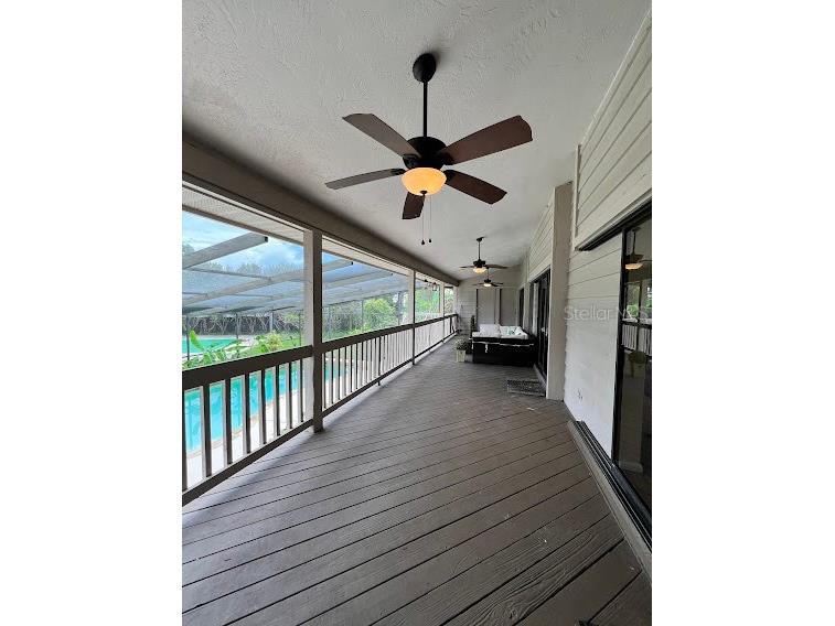 413 Manor Boulevard Palm Harbor FL 34683 TB8409098 image25