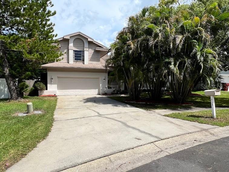 413 Manor Boulevard Palm Harbor FL 34683 TB8409098 image3