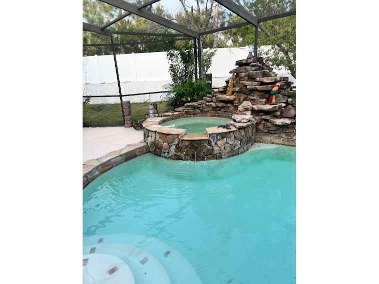 413 Manor Boulevard Palm Harbor FL 34683 TB8409098 image30