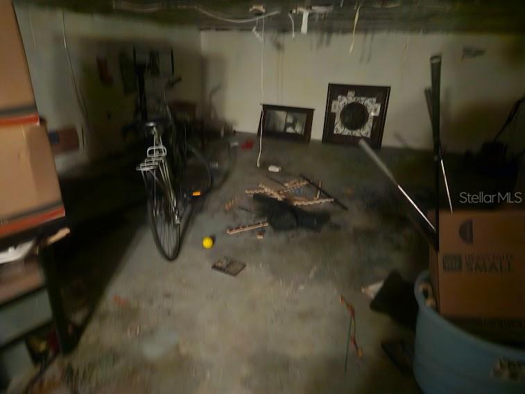 413 Manor Boulevard Palm Harbor FL 34683 TB8409098 image36