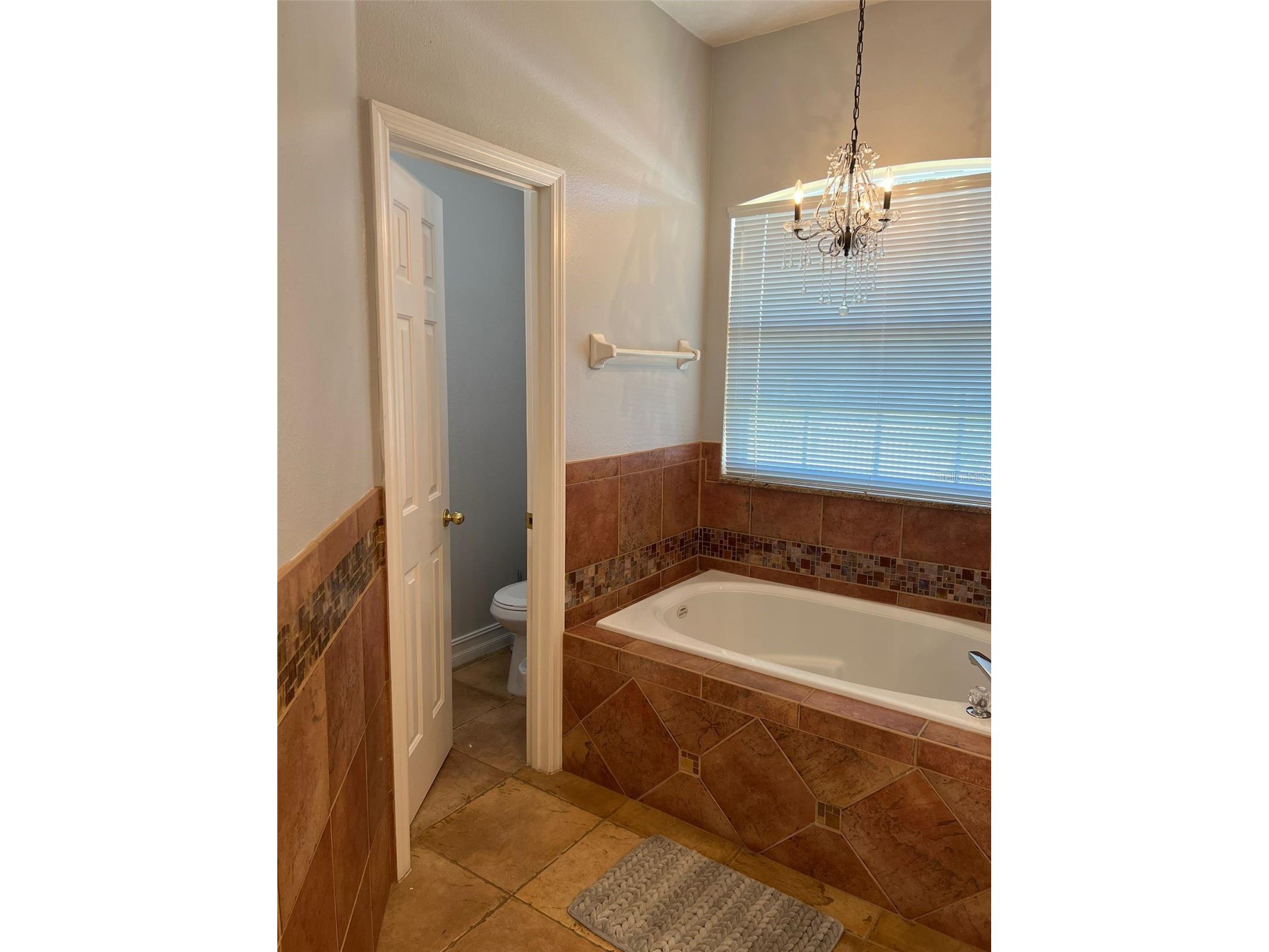 413 Marlberry Leaf Avenue Kissimmee FL 34758 S5149580 image18