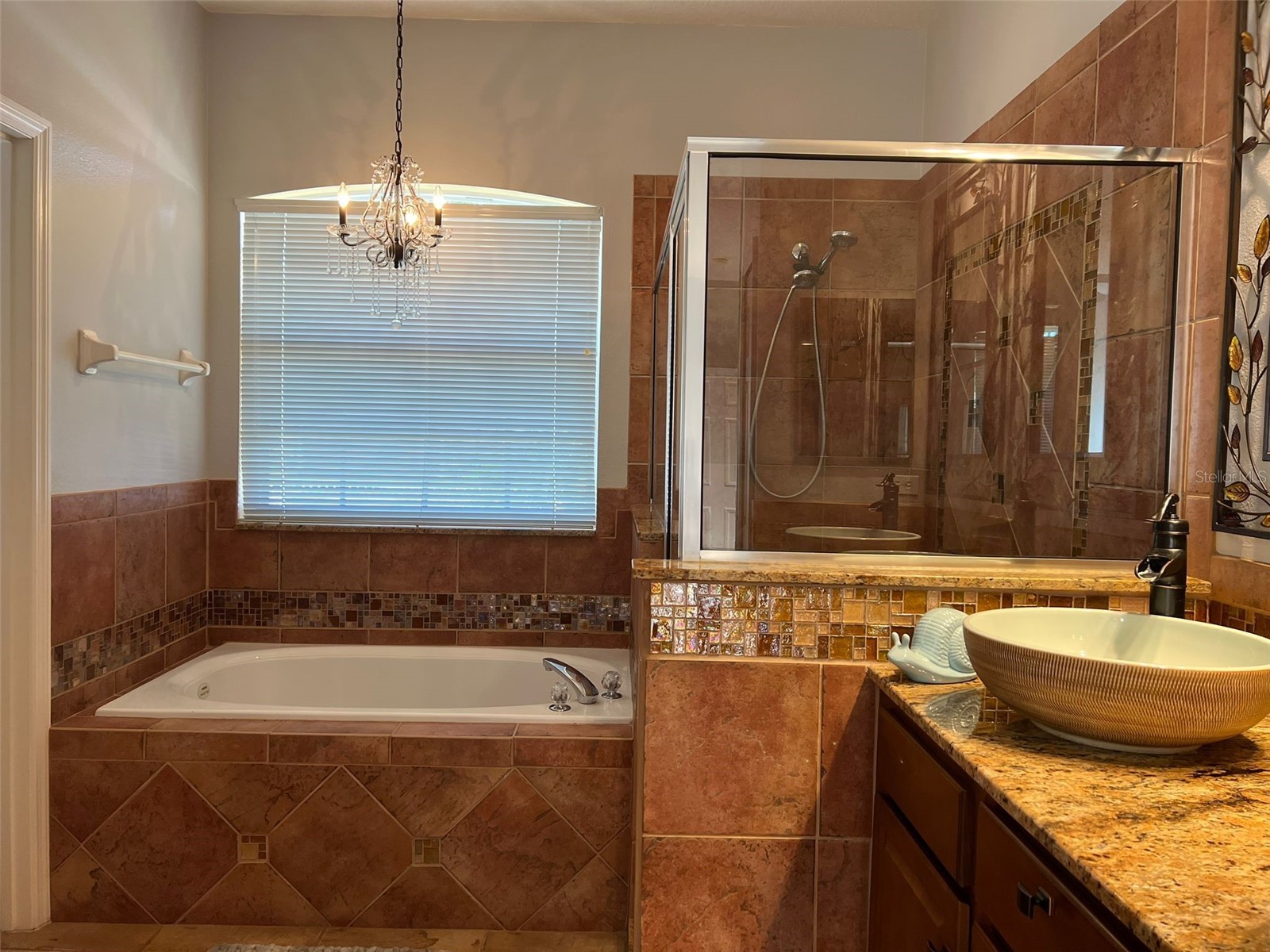 413 Marlberry Leaf Avenue Kissimmee FL 34758 S5149580 image8