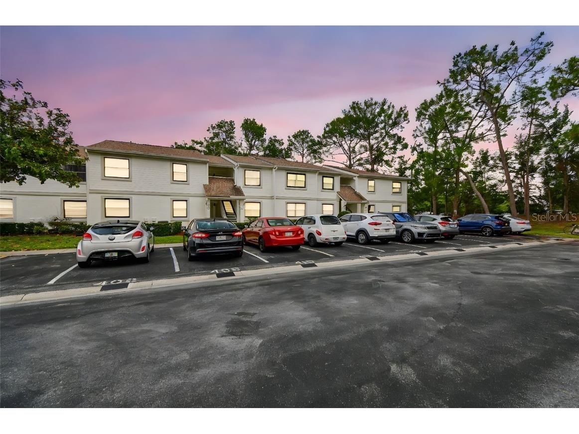 413 Meadow Lane #81 Oldsmar FL 34677 TB8386509 image1