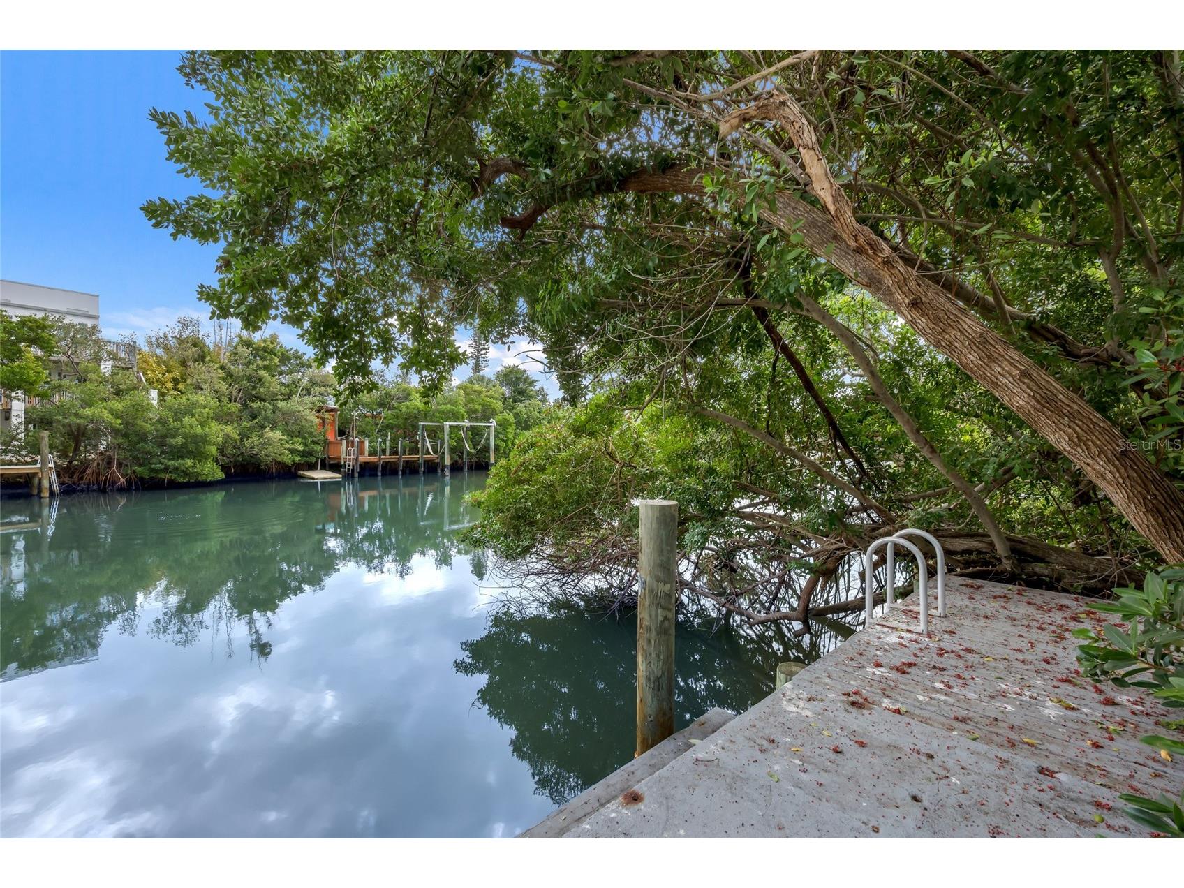 413 Poinsettia Road Anna Maria FL 34216 A4677921 image36