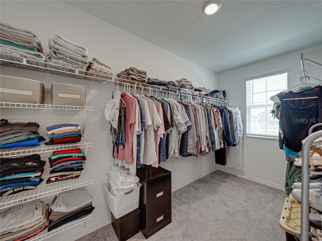 413 Royal Empress Drive Ruskin FL 33570 TB8381293 image18