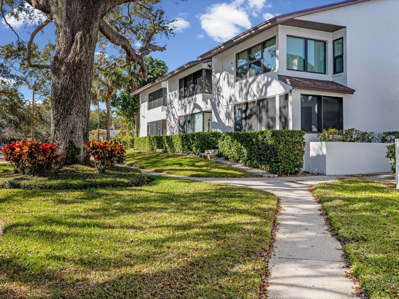 413 S Bayshore Boulevard #4 Safety Harbor FL 34695 TB8470905 image2