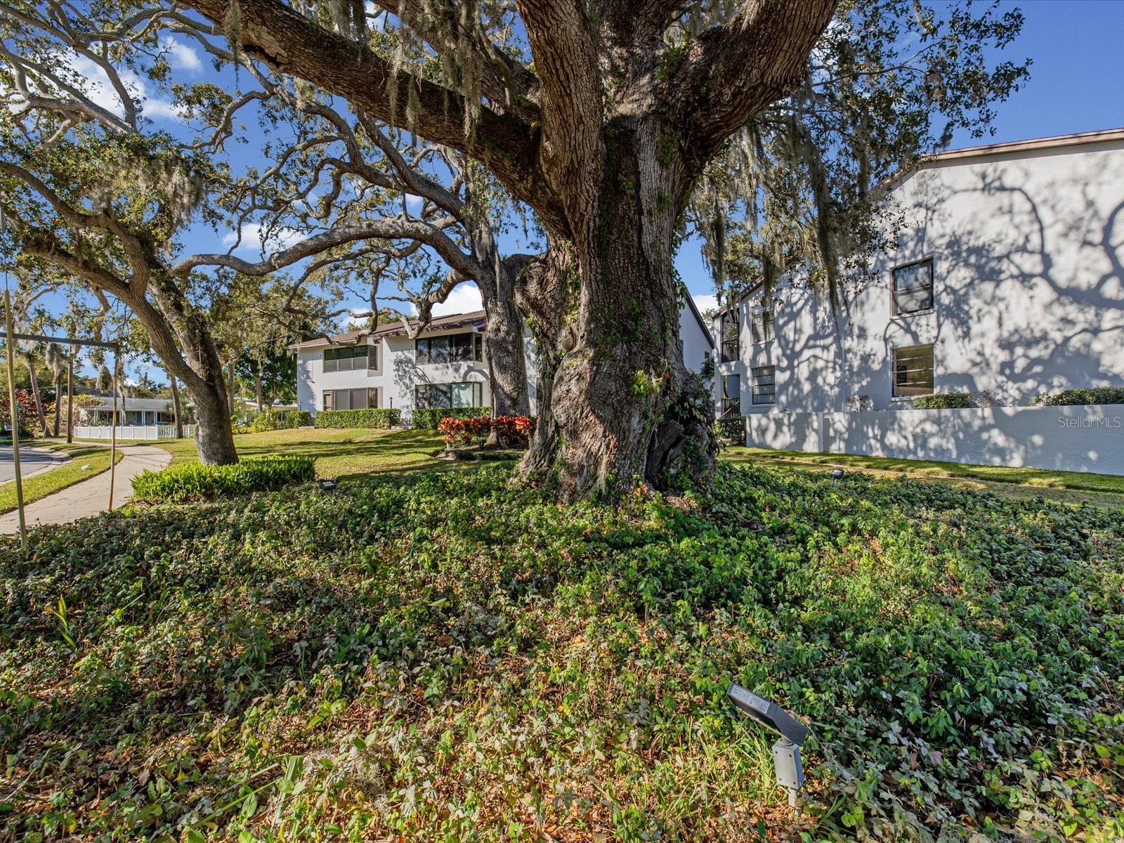 413 S Bayshore Boulevard #4 Safety Harbor FL 34695 TB8470905 image23