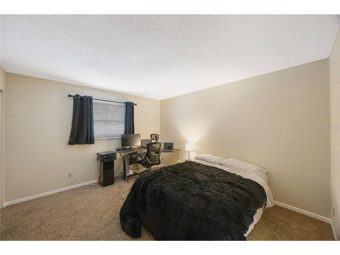 413 Somerset Lane Palm Harbor FL 34684 A4665720 image23