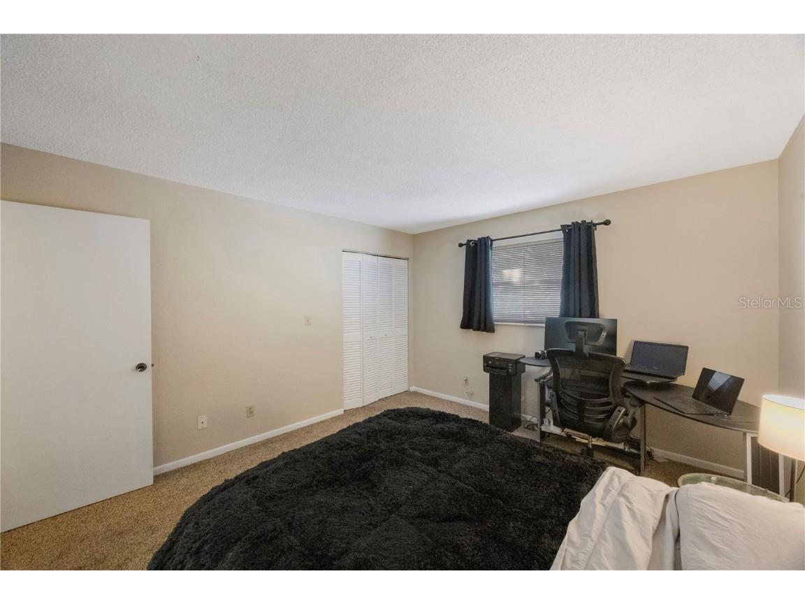 413 Somerset Lane Palm Harbor FL 34684 A4665720 image25