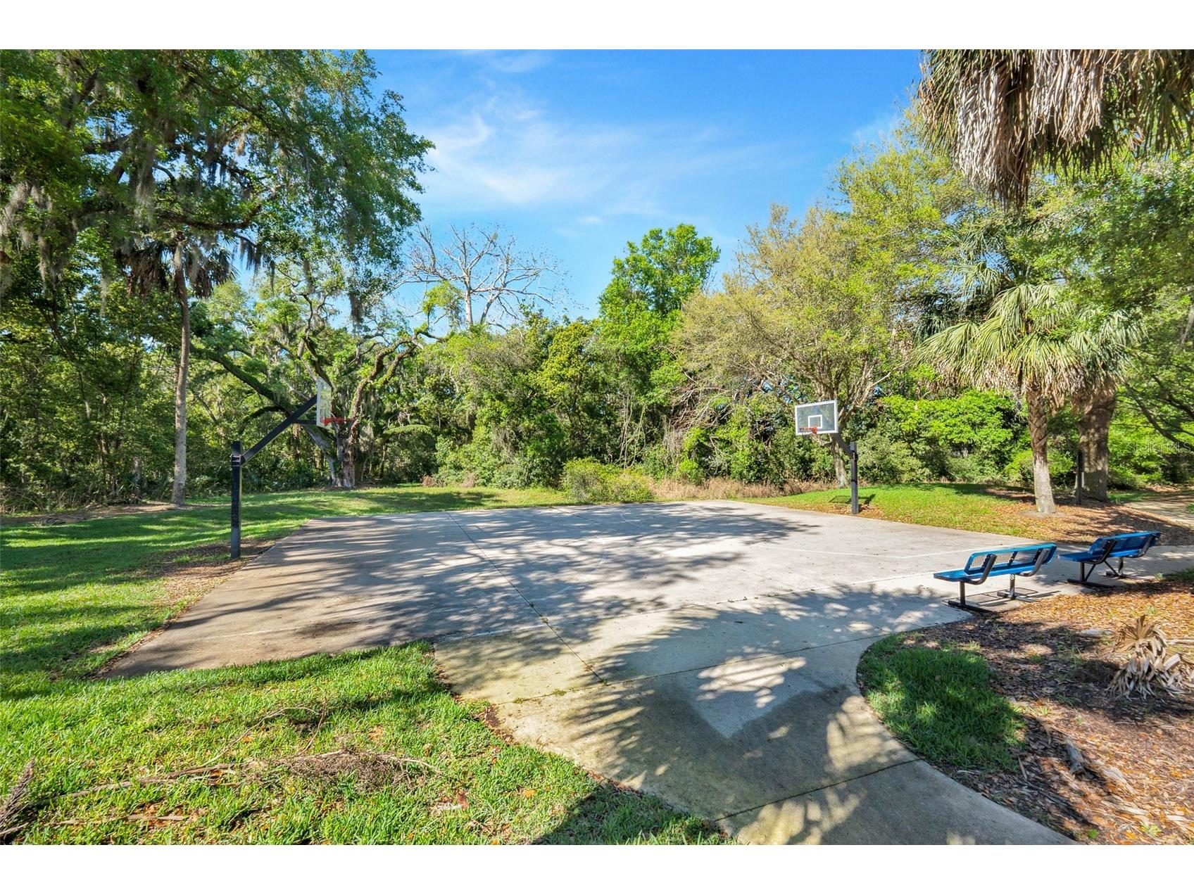 413 Split Oak Court Eustis FL 32736 G5109814 image42