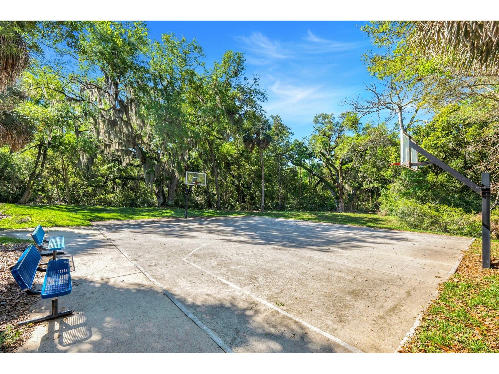 413 Split Oak Court Eustis FL 32736 G5109814 image43