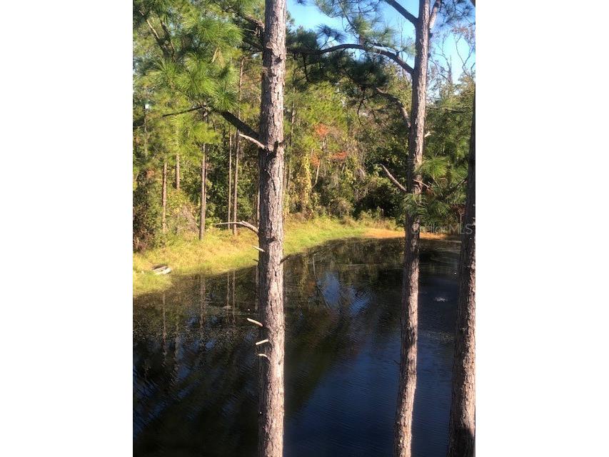 413 Summit Ridge Place #305 Longwood FL 32779 O6262515 image9