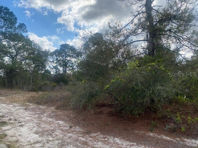 413 Sunshine Avenue Lake Placid FL 33852 S5103814 image1