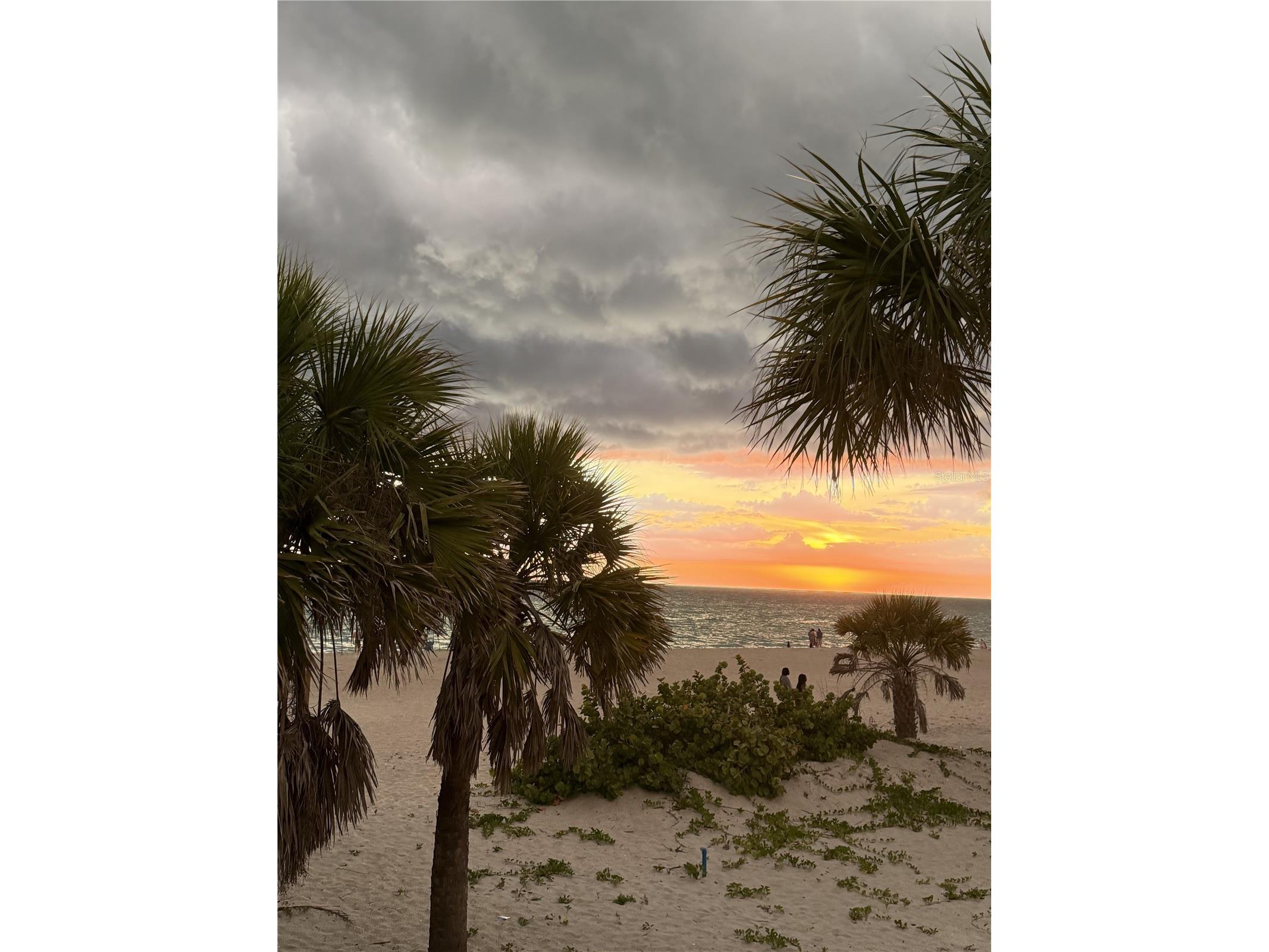413 Tomoka Drive Englewood FL 34223 D6147558 image99