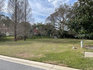 413 W Blue Water Edge Drive Eustis FL 32736 O6390449 image1