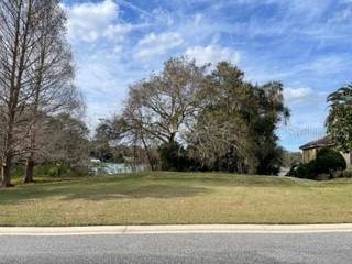413 W Blue Water Edge Drive Eustis FL 32736 O6390449 image2