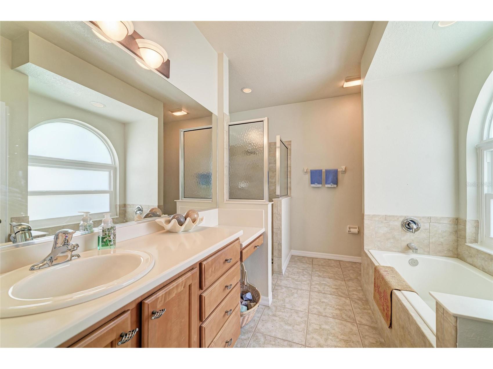 4130 70th Street Circle E Palmetto FL 34221 A4691152 image20