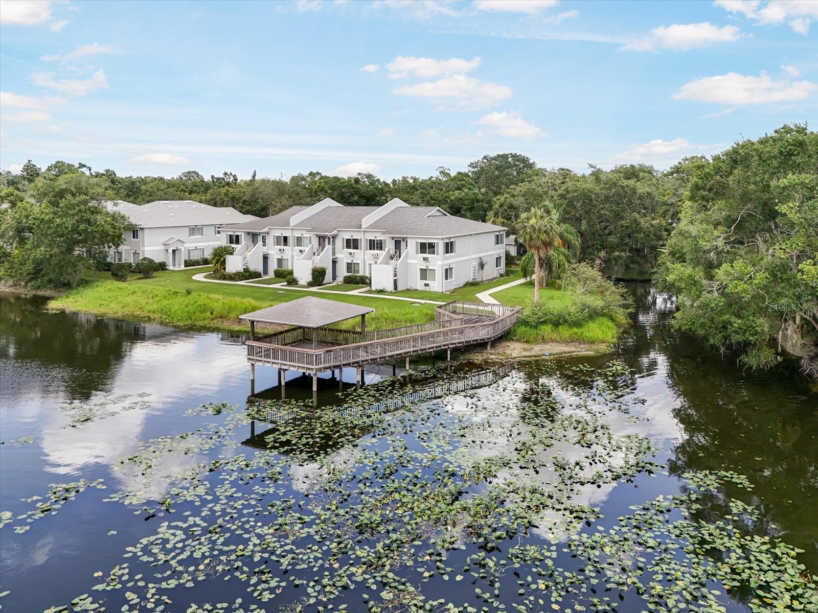 4130 Dolphin Drive #203 Tampa FL 33617 TB8497917 image18
