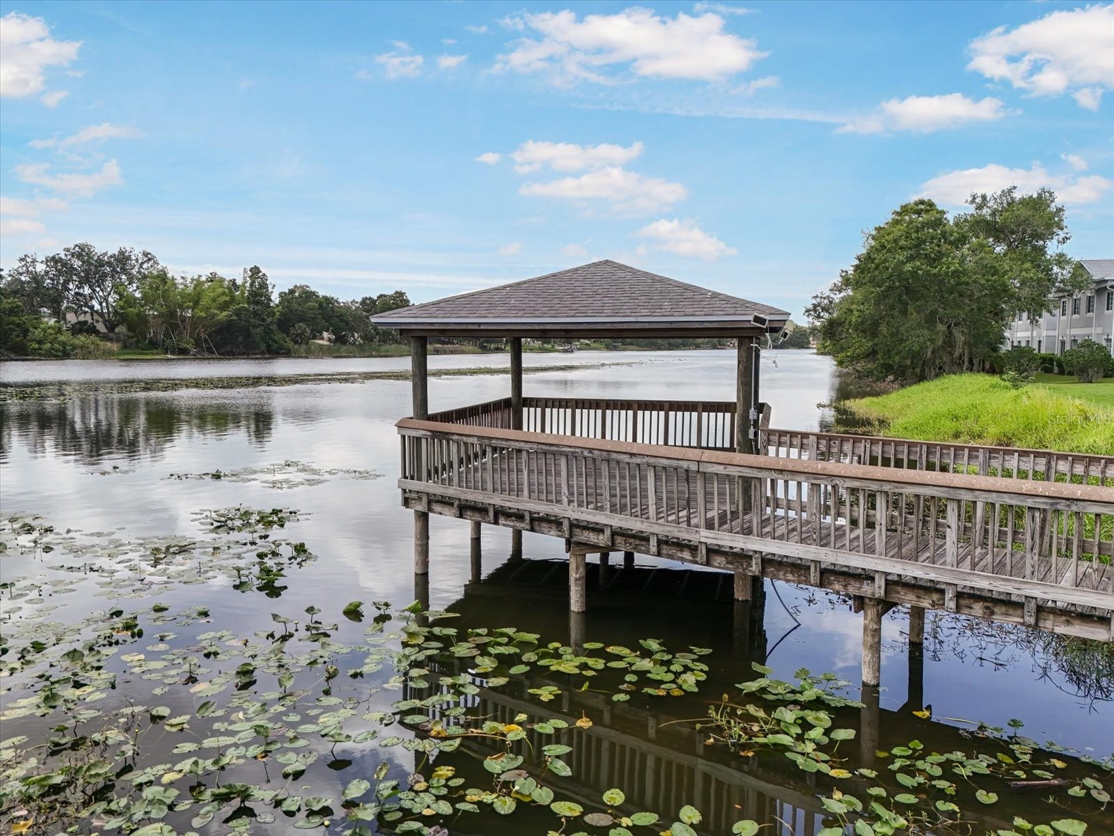 4130 Dolphin Drive #203 Tampa FL 33617 TB8497917 image19
