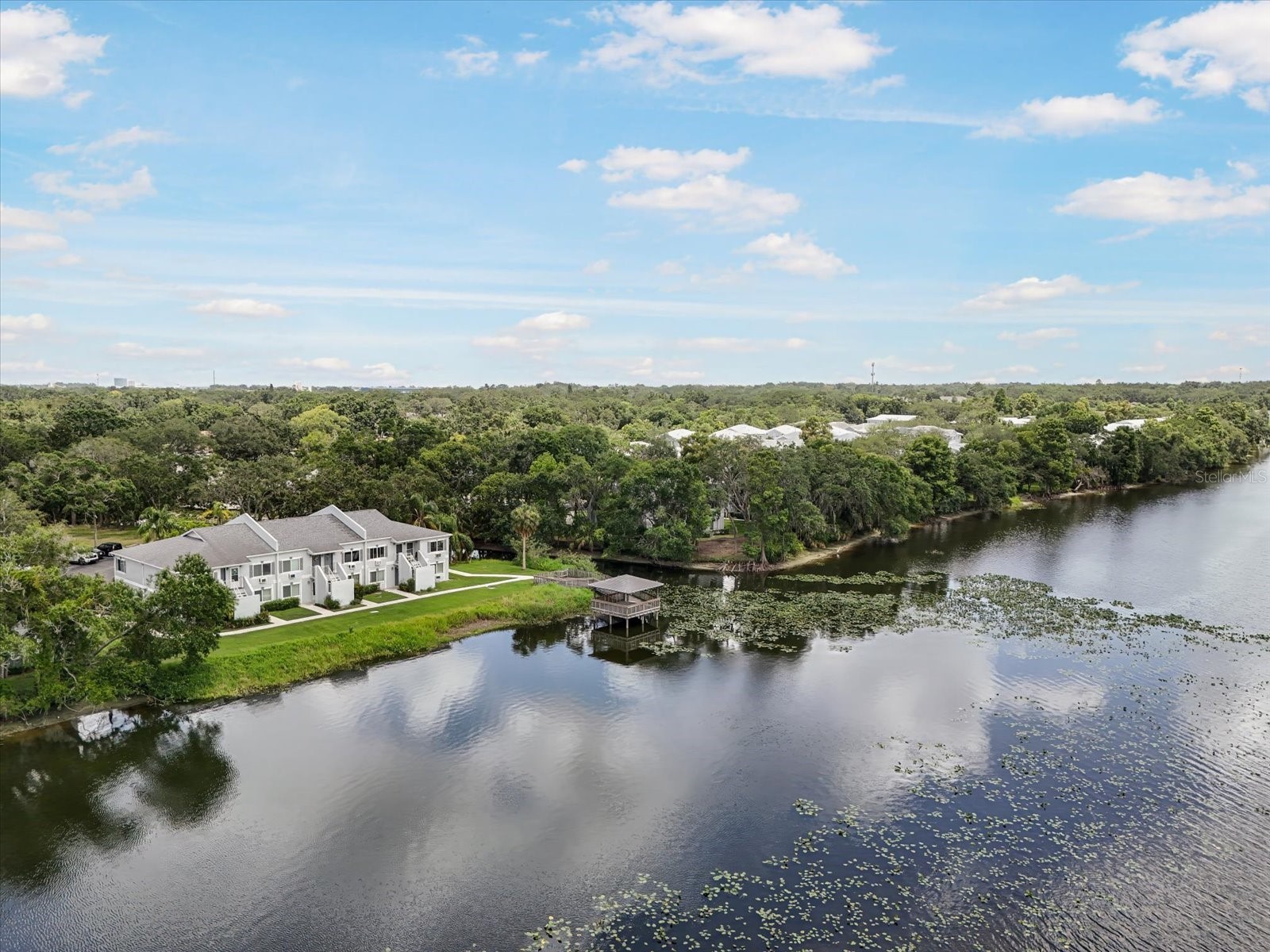 4130 Dolphin Drive #203 Tampa FL 33617 TB8497917 image20