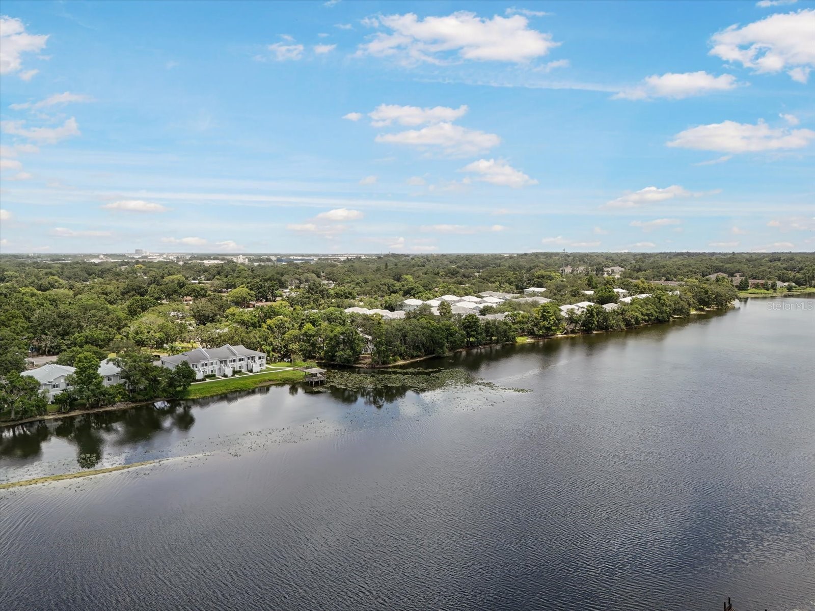 4130 Dolphin Drive #203 Tampa FL 33617 TB8497917 image21