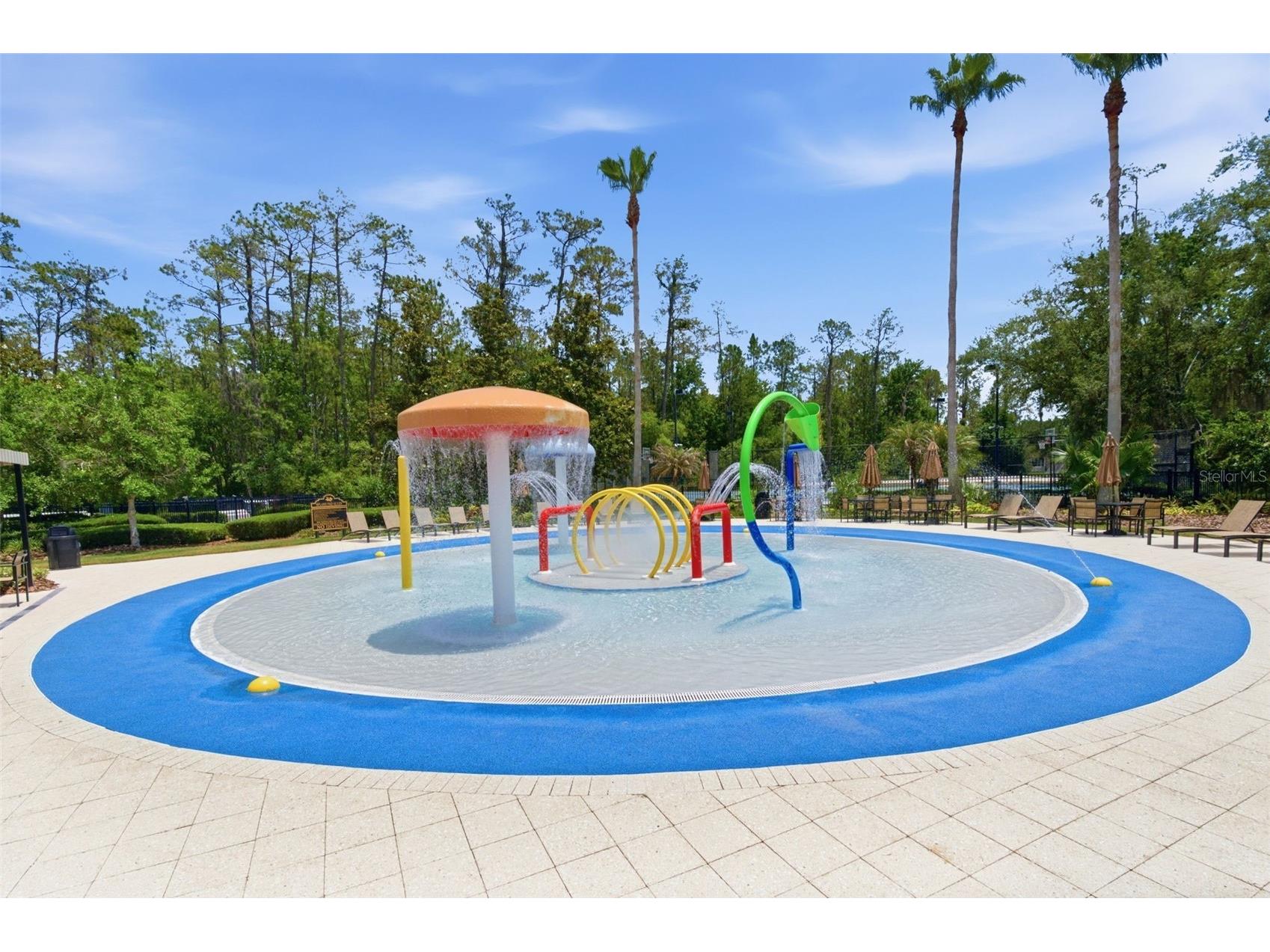 4130 Granite Glen Loop Wesley Chapel FL 33544 TB8510448 image88
