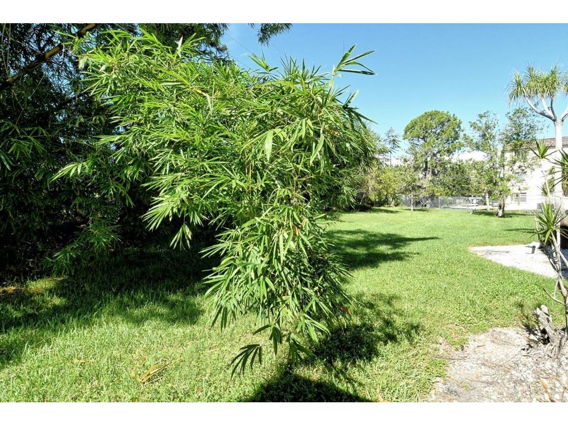 4130 Heron Way #B-115 Bradenton FL 34205 A4661134 image37