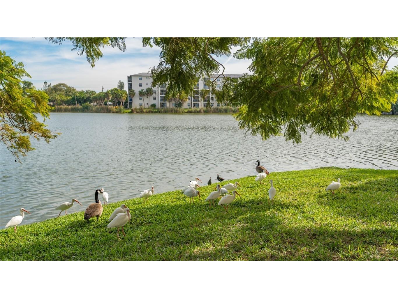 4130 Heron Way #B-115 Bradenton FL 34205 A4661134 image58