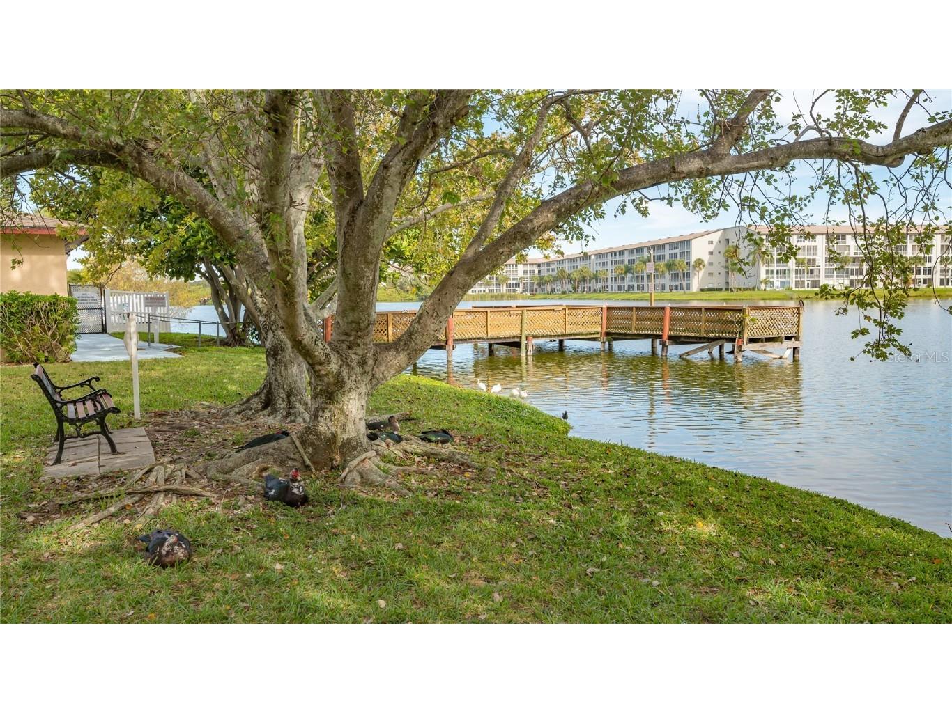 4130 Heron Way #B-115 Bradenton FL 34205 A4661134 image62