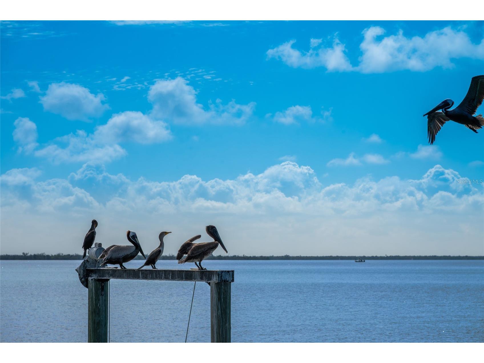 4130 Snail Island Court Boca Grande FL 33921 - CHARLOTTE HARBOR / LOOMIS BAY D6147090 image28