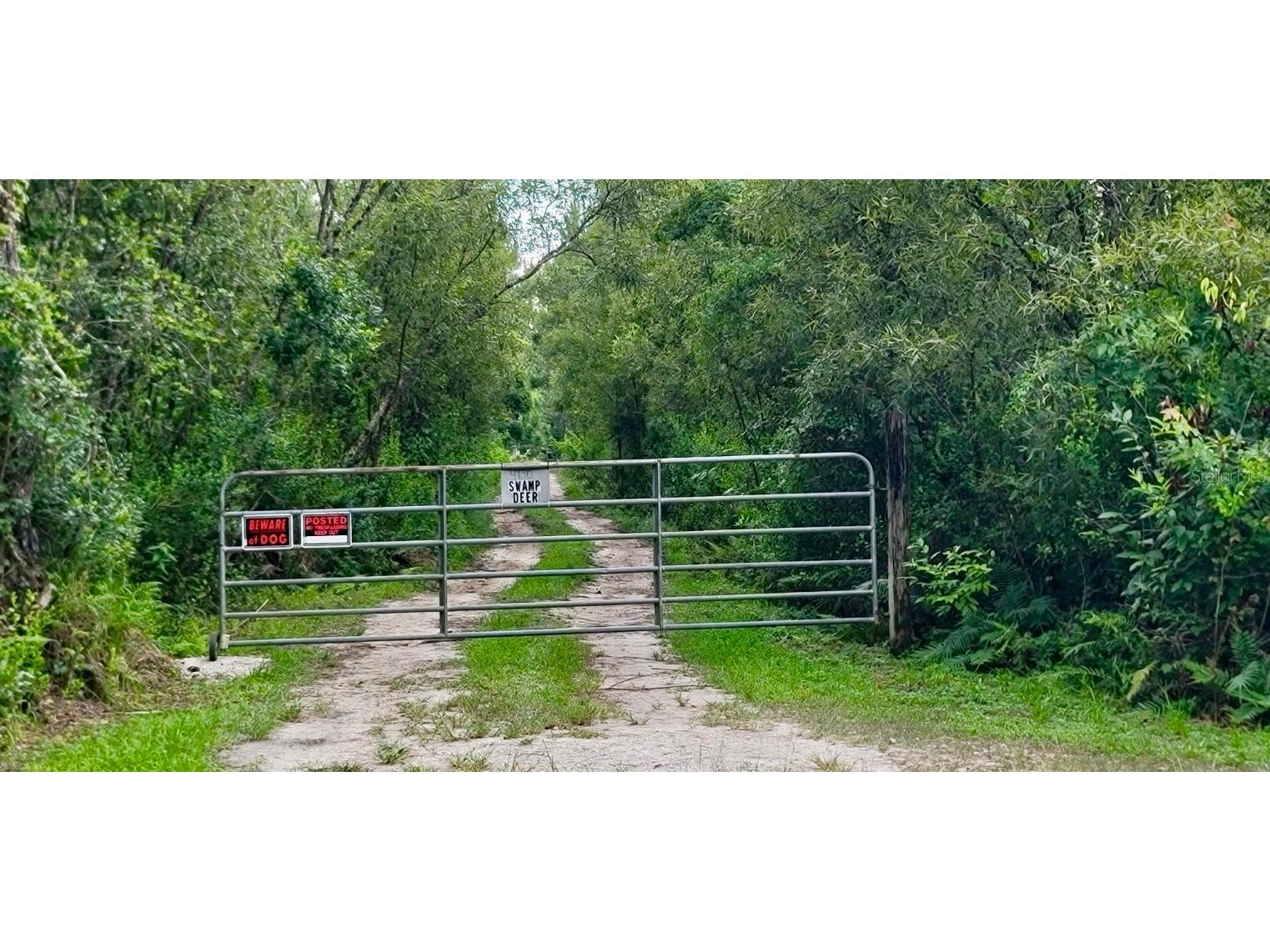 4130 Swamp Deer Road New Smyrna Beach FL 32168 V4940655 image1