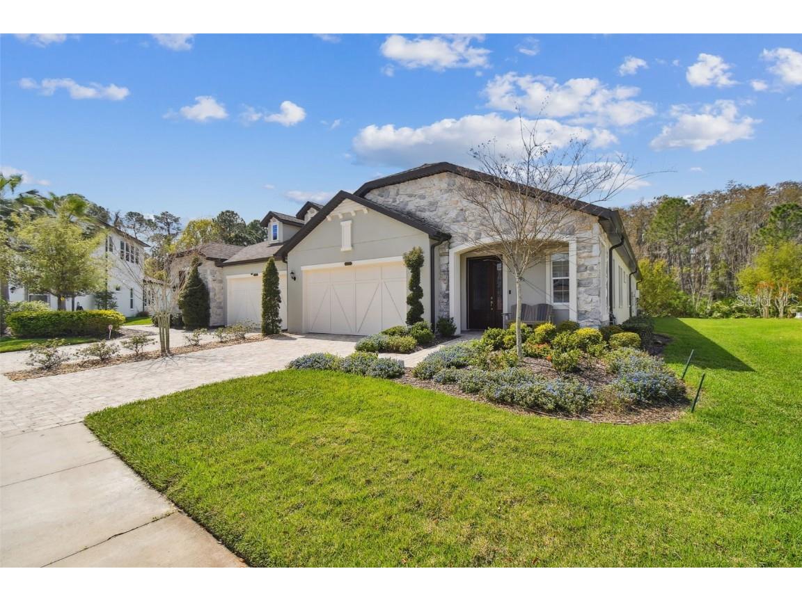 4131 Barletta Court Wesley Chapel FL 33543 T3509141 image1