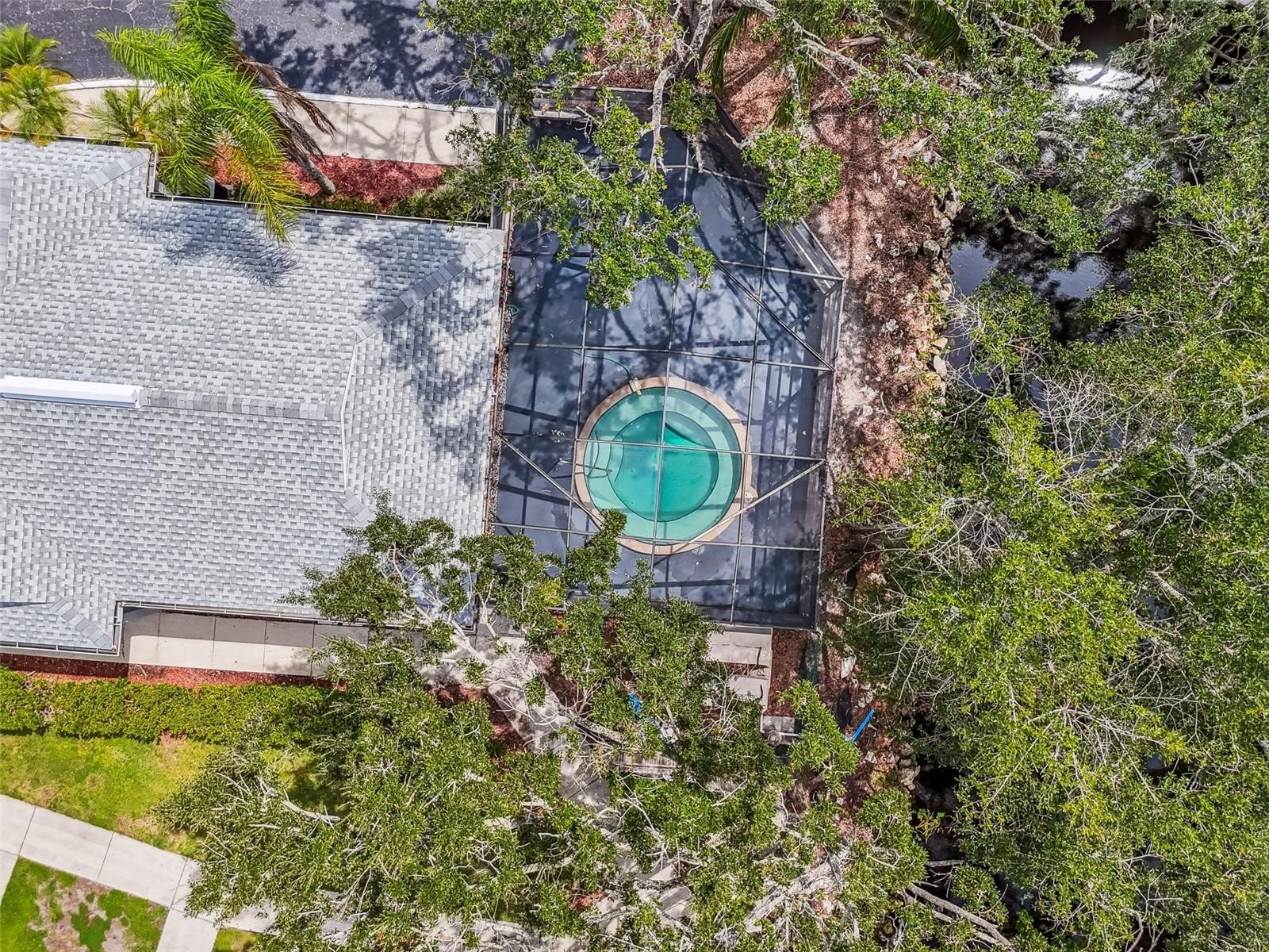 4131 Dolphin Drive #4131 Tampa FL 33617 - HILLSBOROUGH RIVER TB8462371 image20