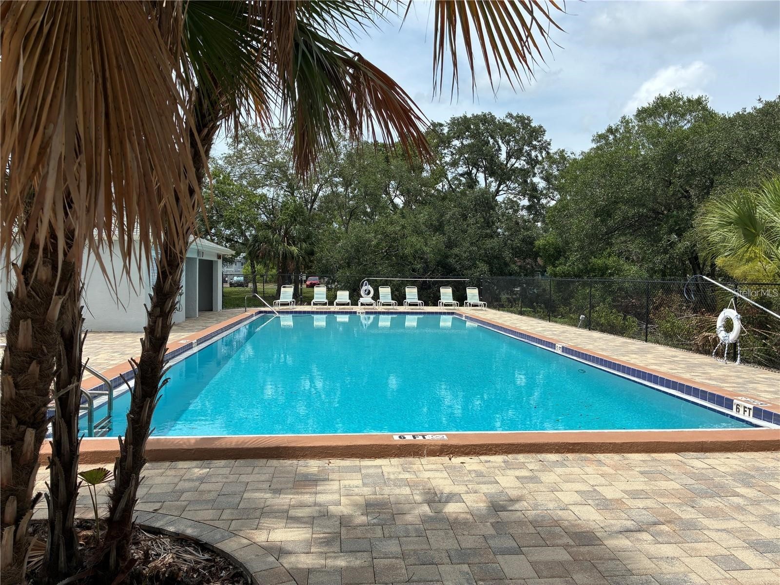 4131 Dolphin Drive #4131 Tampa FL 33617 - HILLSBOROUGH RIVER TB8462371 image25