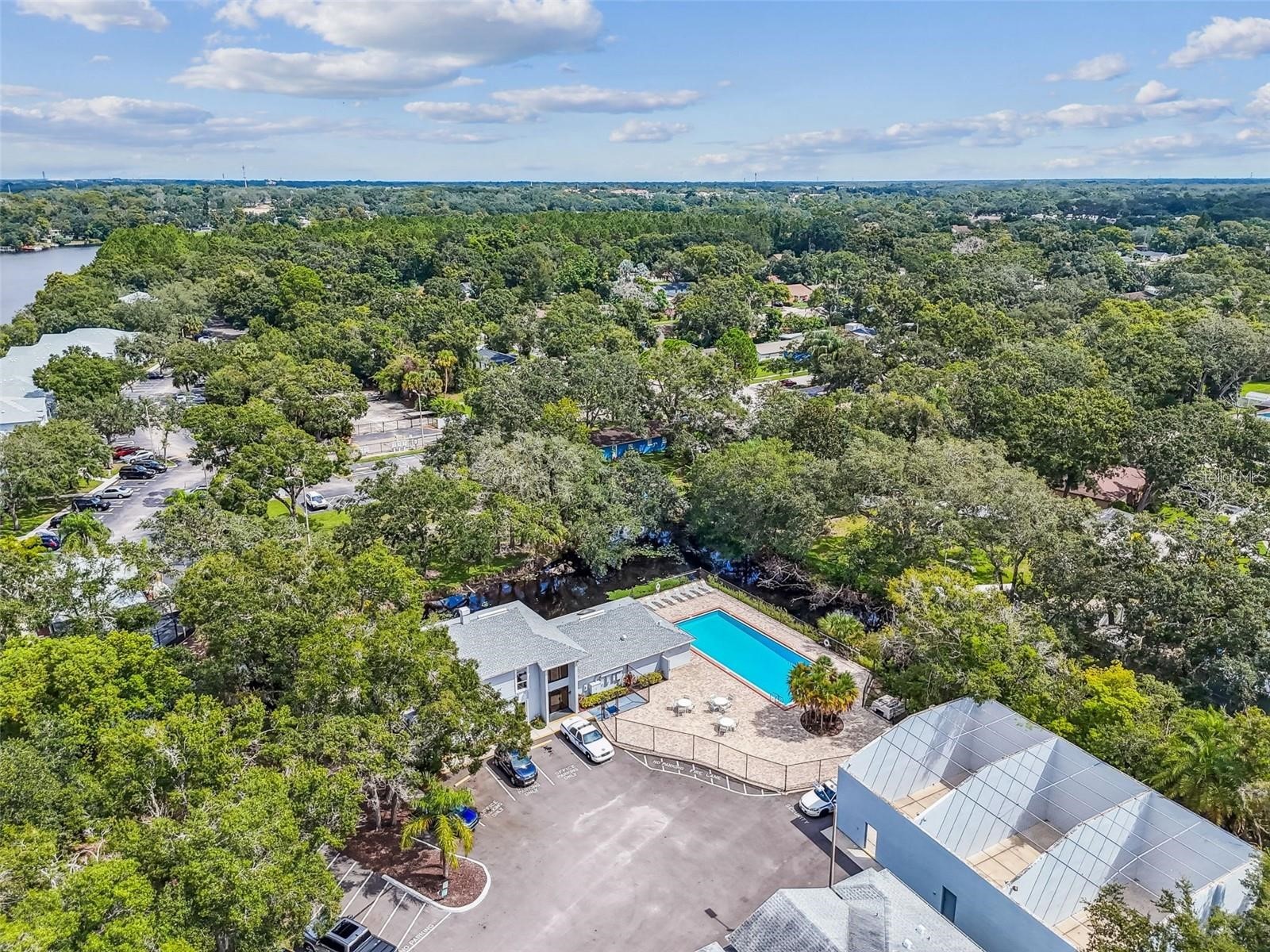 4131 Dolphin Drive #4131 Tampa FL 33617 - HILLSBOROUGH RIVER TB8462371 image28